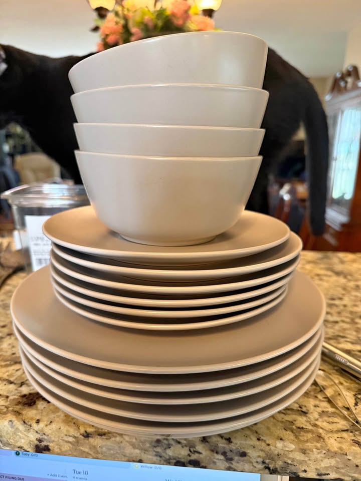 Dinnerware